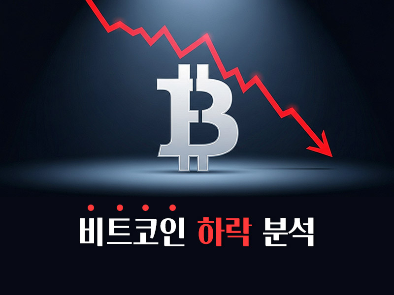 비트코인 하락 분석