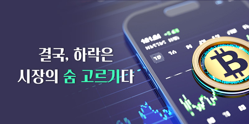 시장의 숨고르기
